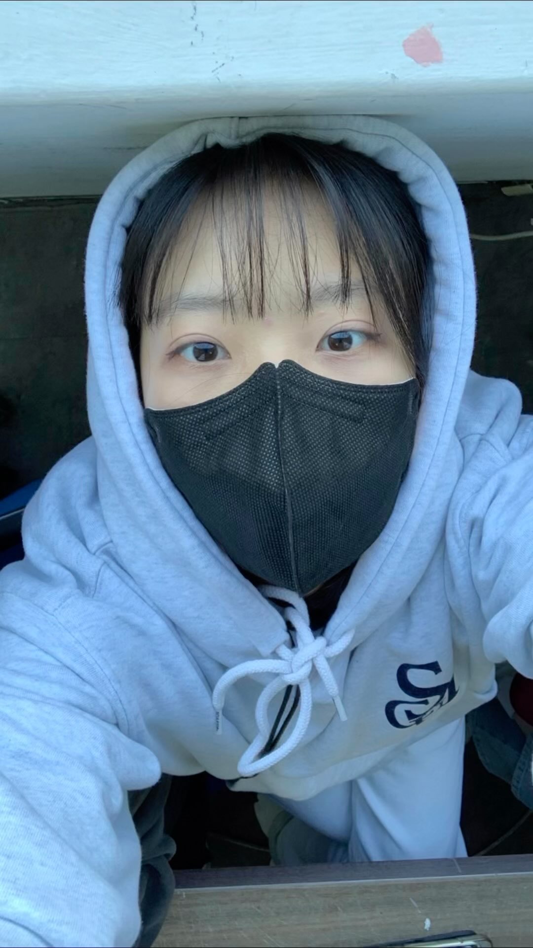 김현지모음집.;🤩