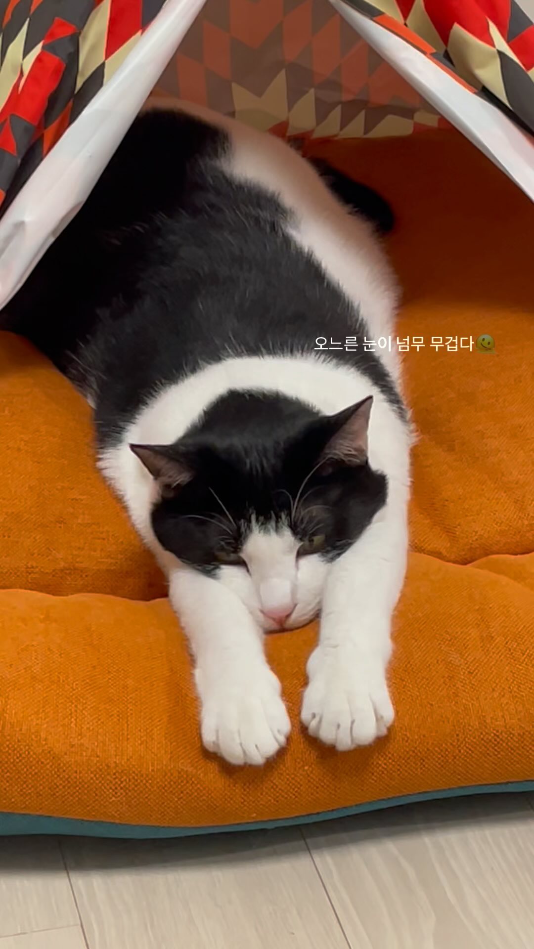 잠잘때 꿀템 #인디언텐트