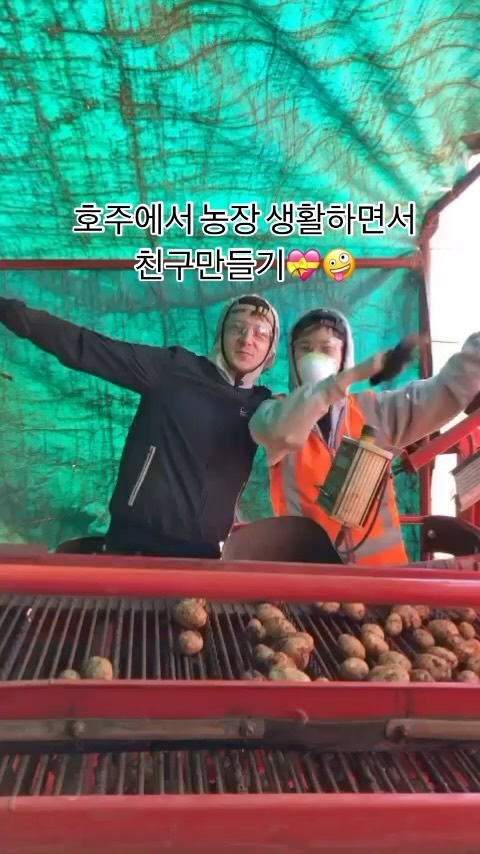 호주에서 워킹홀리데이 하면서 좋았던 점 
다양한 나라 친구를 만들 수 있다.💗

세컨비자 취득을 위해 농장을 갔습니다. 
으하하 🤣🤣🤣🤣

무반주에 춤추냐고요?
에어팟끼고 일했습니닼ㅋㅋㅋㅋㅋ

그때는 힘들었는데 지나고보니까 다 추억이됐네요🥹🥹
다들 너무 보고싶다.
잘있니?

#호주 #워킹홀리데이 #농장생활 #친구 #호주워홀 #세컨비자