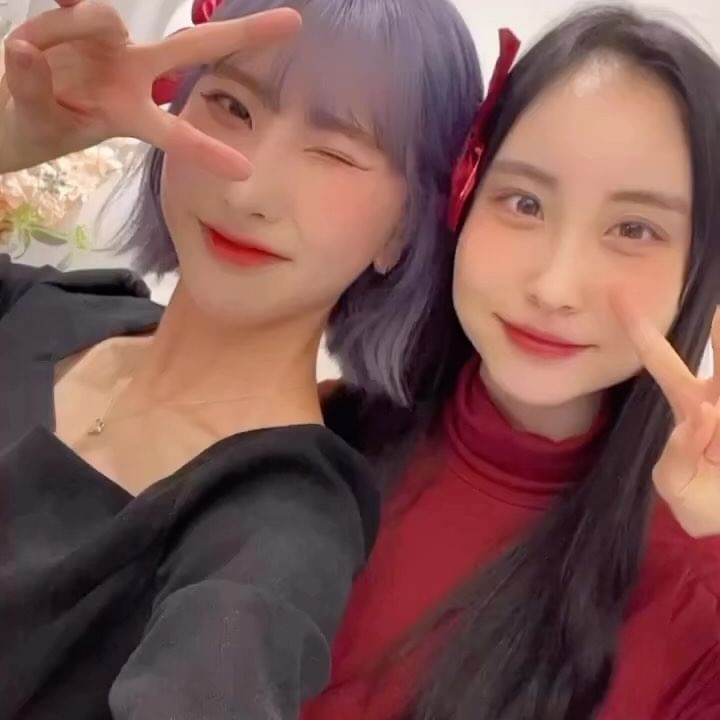 콘텐츠