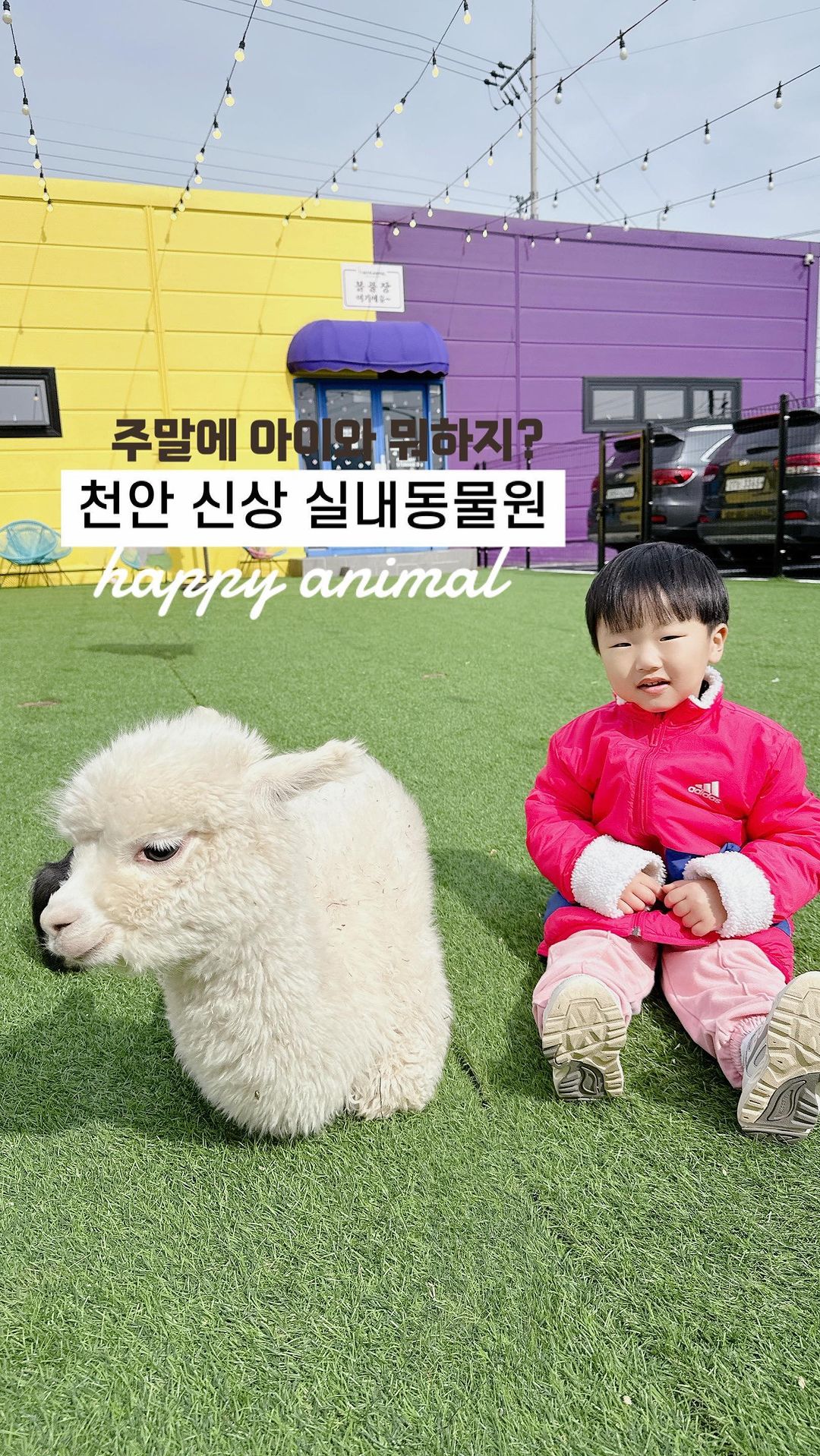 ෆ⸒⸒ #유후랜드추천
-
@jjiny_ssuny 이벤트 당첨으로 다녀온 
❝해피애니멀❞ 
 
동물 좋아하는 울 애기 꼭 데려가야지 했던 곳 🐶
하이애니멀보다 큰 규모로 볼 거리도 가득!
 
✅ 화-금 11:00-18:30
  토-일 10:00-19:00
  볼풀장(평일/주말) 마감 17:30/18:00
  18개월미만 무료
  다자녀가정 3명입장시 1명 무료
 
✅ 이용시간 2시간(볼풀장 포함)
 
✅ 250평 대형 실내공간 / 100평 야외공간
 
✅ 15분마다 다양한 체험시간으로 더 신나게
 
✅ 주차장 완비
 

🍃 유후랜드 팁
✔️입장하고 바로 카페에 자리잡고 짐 놓고 보면 훨씬 수월해요 !
✔️ 실내에 옷걸이가 있어서 외투 걸 수 있어요.
✔️ 먹이주기 체험때 아이들은 장갑 필수 ! 
✔️ 유아 볼풀장 생각보다 엄청 깊어요! 보호자 동반 필수에요 👐🏻
 
 
🔖 해피애니멀 @happy_animal_cafe_ 
 
 

📍더 많은 정보를 원한다면 @yoobarbie0929  팔로우 꾹 '◡'
📍도움 되셨다면 ’❤️‘
📍다시 보고싶다면 ’🔖저장
 
 
 
#주말아이와 #천안여행 #아이와천안 #아이와가볼만한곳 #실내동물원 #동물원 #해피애니멀 #천안실내동물원 #충남동물원