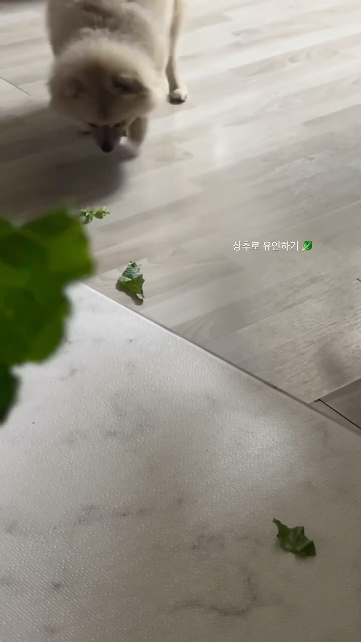 너 납치된거야 #손석구