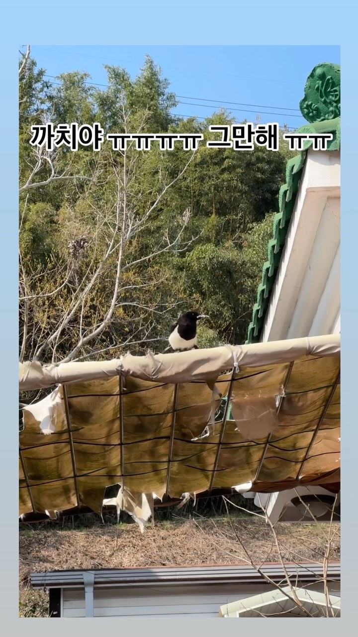 콘텐츠