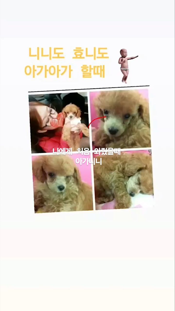 콘텐츠