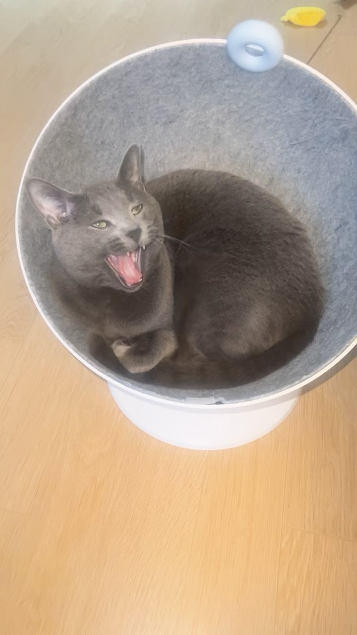 무빙 어렵네^^