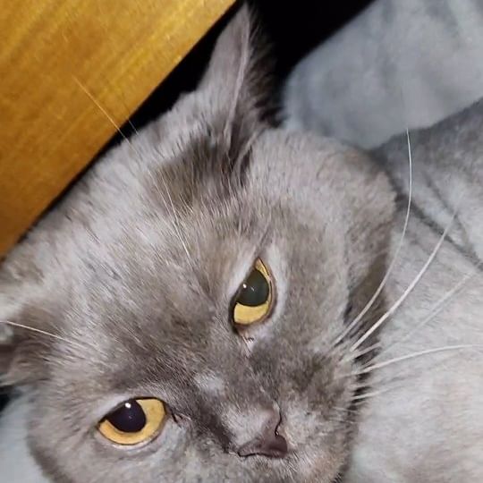😾
ㅋㅋㅋㅋ
자는데 깨워서 미안ㅋㅋㅋ