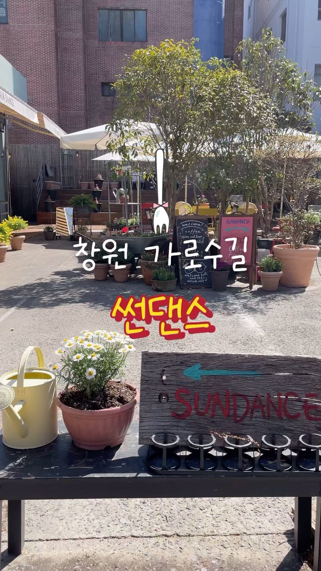 창원 가로수길 유럽풍의 브런치 카페☕️🍽️

🏠경남 창원시 성산구 용호로 118
☎️0507-1490-0271
⏱️매일 10:00 ~ 22:00
🚙전용 주차장 X

공간도 예쁘고, 분위기도 너무 따뜻한데
음식까지 너무 맛있었던 ➰