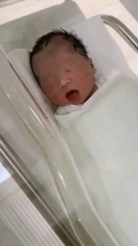 #신생아 #배내짓😊 
#37w3d👶🏻🍼 

건강하게 나와줘서 고마워
잘 해보쟈 ㅎㅎ

#곤듀님인데씩씩해보여
#엄마닮았나?