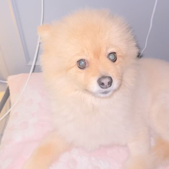 콘텐츠