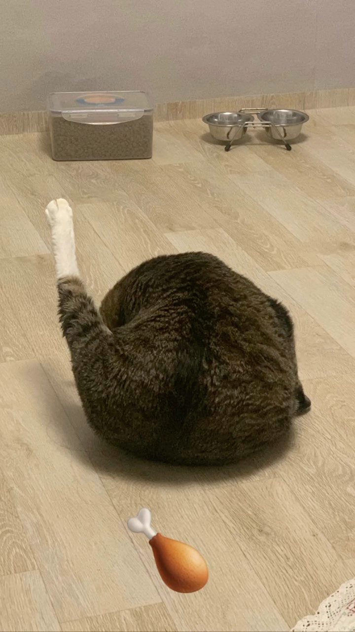 인스타가 만들어줬어