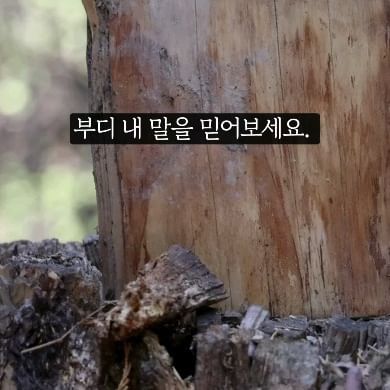부디 내 말을 믿어보세요. 

아무리 현실이 답답하더라도

내일은 오늘보다 멋진 날이 되리라, 하고요. 

히가시노게이고 <나미야 잡화점의 기적>
