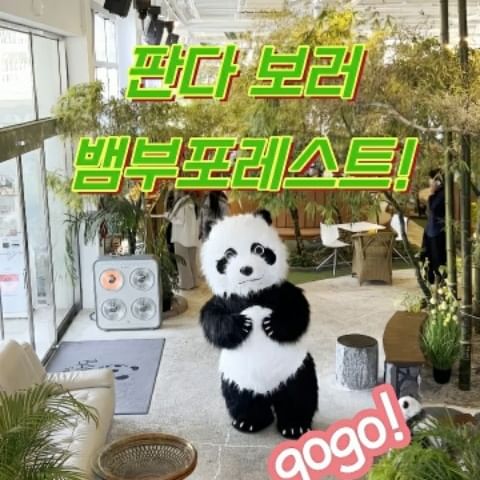 #광고 김포에 힙한 카페로 고고!
@bamboo158_official

푸바오 같은 판다가 지키고 있는 대형카페 뱀푸포레스트.ㅎ
김포에 위치해서 대나무와 식물원을 테마로 하고 있는 대형카페로, 곳곳에 푸바오를 닮은 팬더 인형들을 곳곳에서 만나볼 수 있어요.

1층에는 높게 자란 대나무숲과 나무들이 정원처럼 조성되어 있고 팬더 인형들이, 3층에 올라가면 또 다른 풍경이 펼쳐져요. 대나무와 나무들을 위에서 내려다볼 수 있으며, 큰 창문으로 강을 바라보며 여유로운 시간을 보낼 수 있는 곳.

게다가 구름다리를 건너면 별관이 나오는데, 미니 수목원이 조성되어 있어서 힐링하기 좋은 곳이에요!

📍주소: 경기 김포시 하성면 금포로1915번길 7 
📍영업시간 : 11:00 ~ 21:00, 15:30 ~ 16:30 휴게

#김포대형카페 #온실카페 #김포카페 #대나무카페 #대형카페 #뱀부포레스트 #판다 #판다인형 #주말스타그램 #주말나들이추천