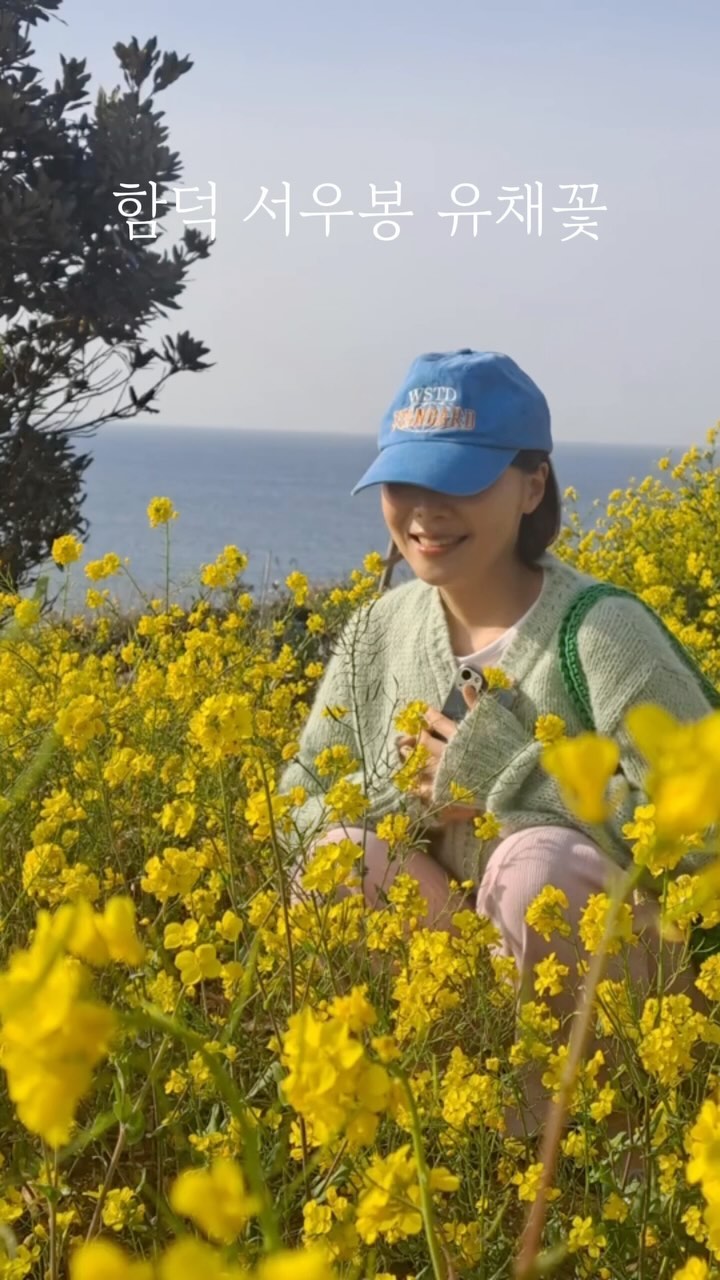 유채꽃 핀 제주는 처음이야 🍊🌼💛
#함덕 #서우봉 #제주유채꽃