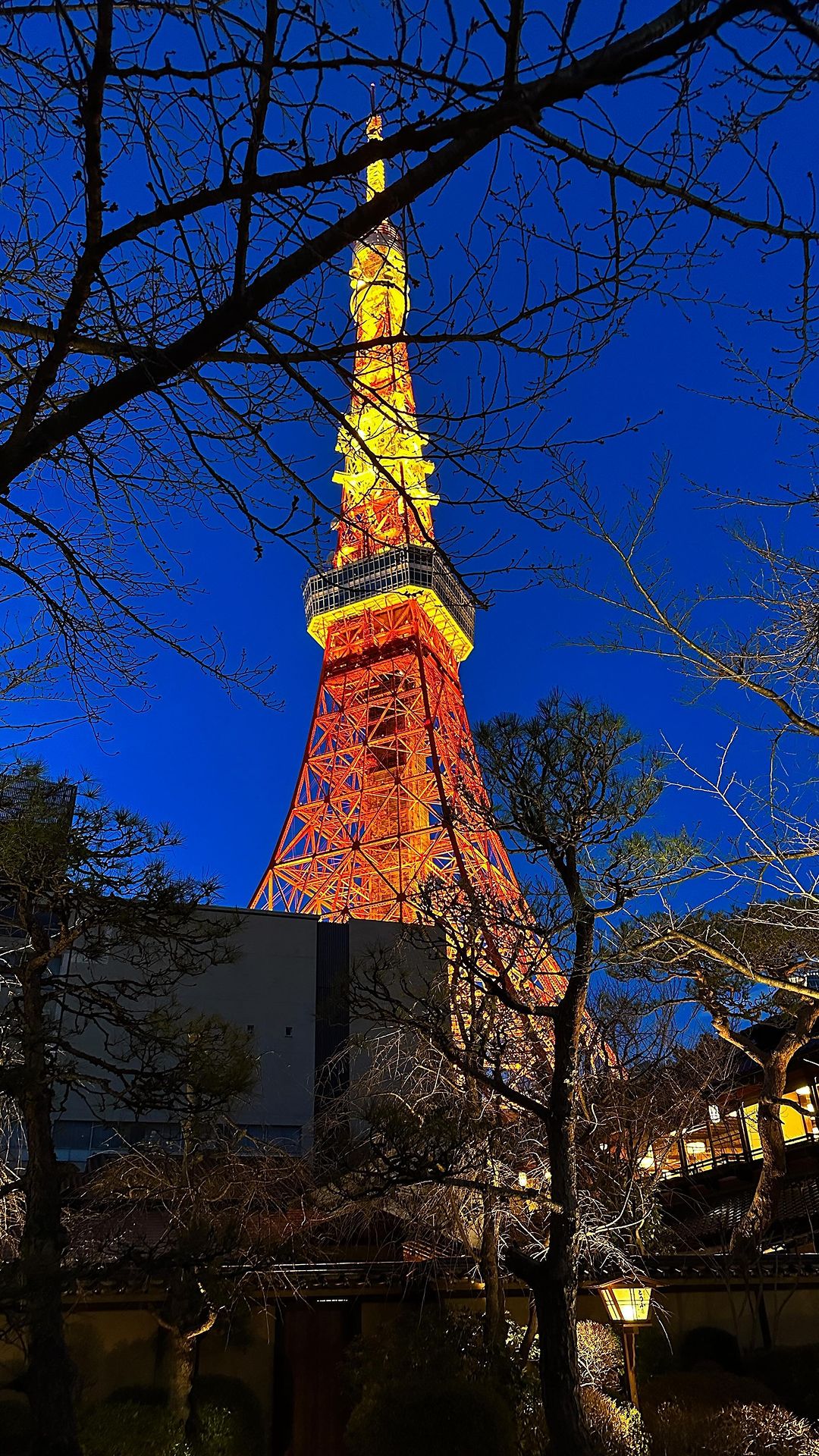 Tokyo Tower🗼

✅Tip > 아카바네바시역에서 내리면 바로 도쿄타워❕
.
.
.
.
.
.
#tokyotower #tokyo #도쿄여행 #도쿄타워 #릴스 #reels