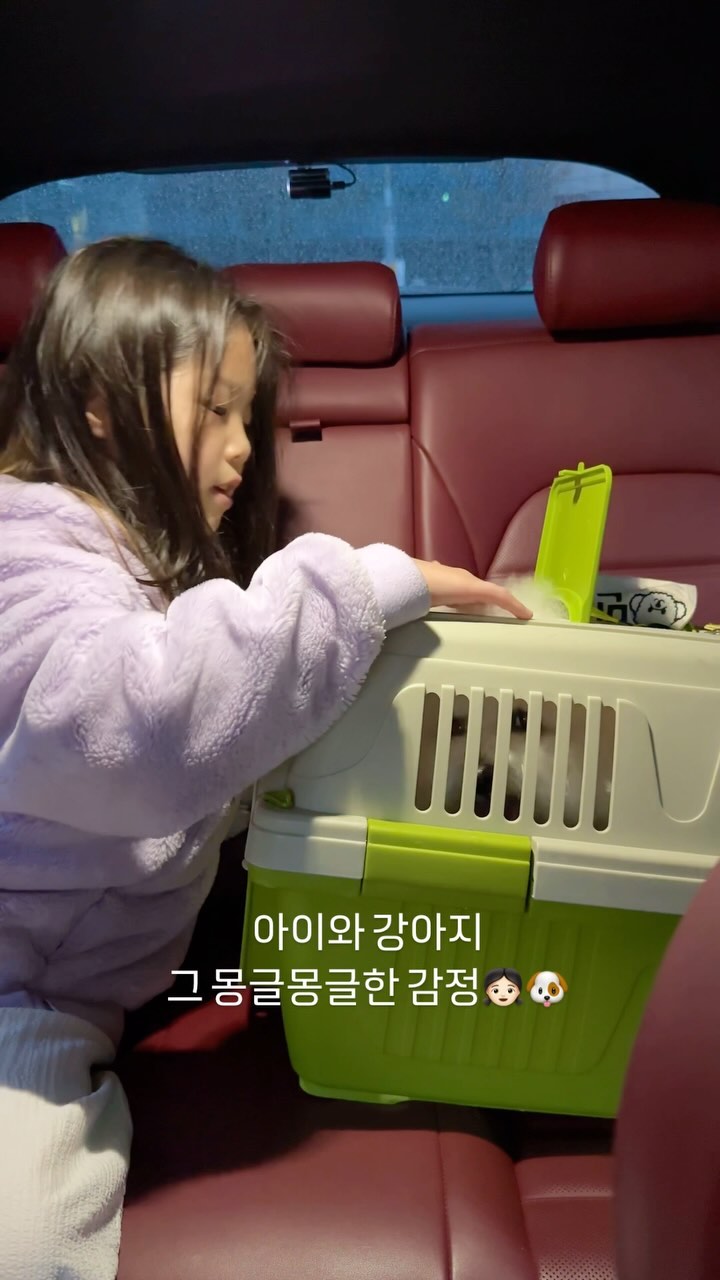 16년생 루아 21년생 만두
루아는 만두를 동생처럼 안아주고 챙겨주고
만두는 루아 옆에서 잘 놀고 잘 자고
둘을 보고있음 너무 몽글몽글 ☁️☁️🤍
⠀
⠀
#ㅅㄹㅎ