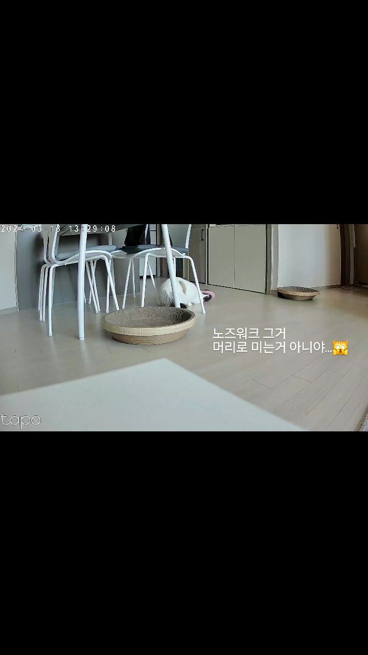 손..아니 발을써야지🐾