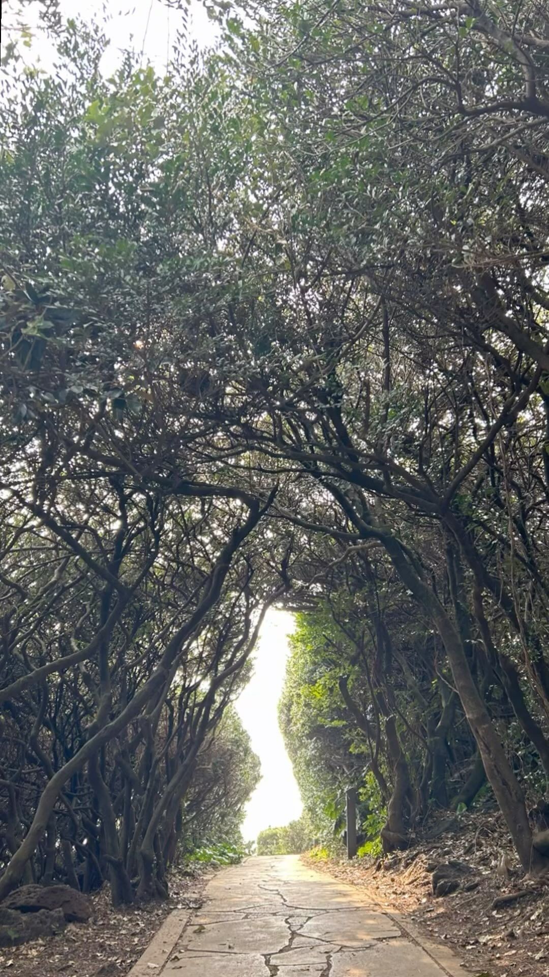 2월의 제주도 행복🍀