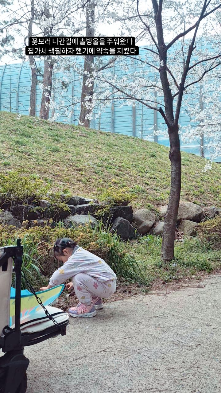 바깥활동중 솔방울을 주웠다 
집에가서 색칠하자 했더니 많이 주웠네
실컫 밖에서 놀고 들어와 
바로 미술놀이