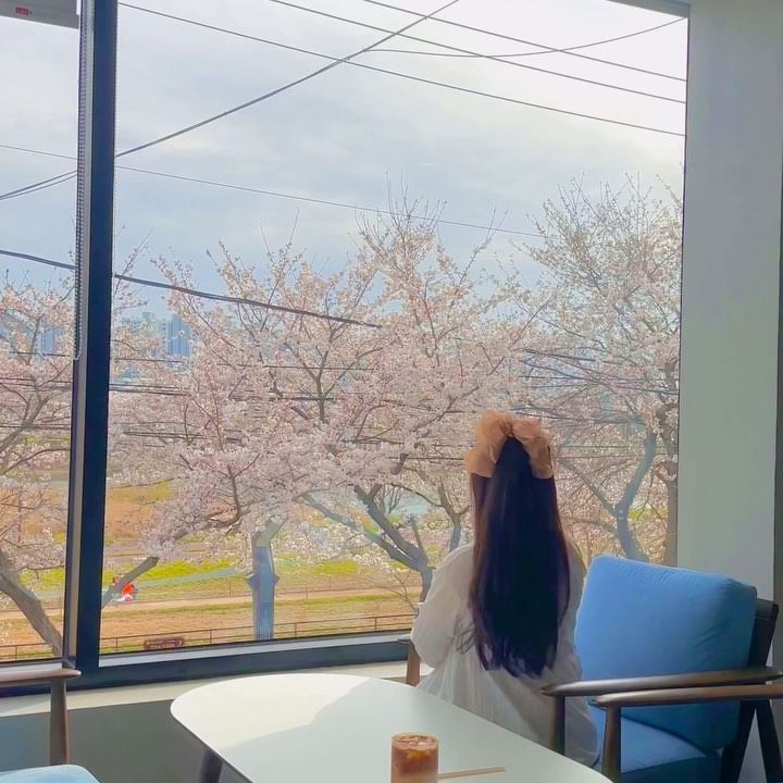 울산 이 카페 벚꽃뷰는 처음 보실걸요? 신상카페🌸

작년 겨울에 오픈해서 처음갔었는데 커피맛에 반하고
봄에 꽃 피면 진짜 이쁘겠다 싶었는데 역시♥️

빵 종류도 다양, 날 따뜻할 때 테라스도 추천드려요⋆◡̎⋆
바로 앞 데크도 산책하기 좋아요🌸

🪧 포이즈 @poise_coffee 

🕰️ OPEN 09:00 | CLOSE 22:00

🏷️ 울산 중구 태화강국가정원길 23 1, 2층

#울산핫플 #울산감성카페 #울산아이와가볼만한곳 #울산벚꽃명소 
#울산커피맛집 #울산포이즈 #태화강국가정원카페 #울산벚꽃카페