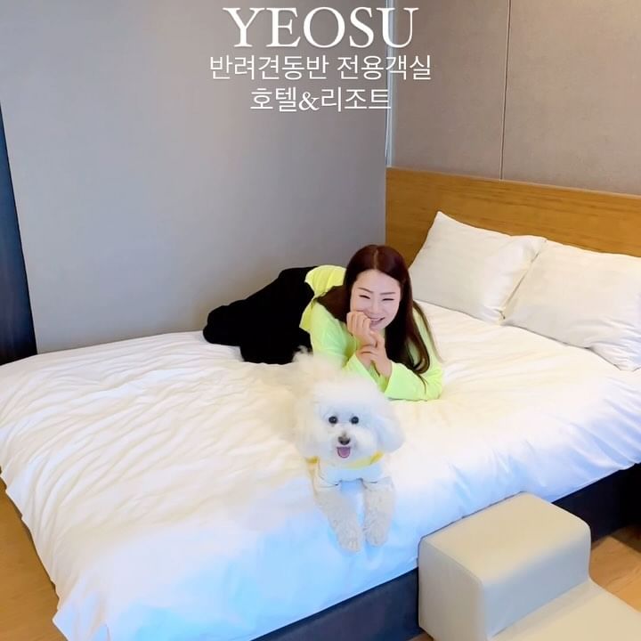 🐶반려견과 함께 떠나는 여수여행은 
유탑마리나 호텔&리조트 정말 만족스러웠어요.
6층은 펫전용객실 유토펫!! 
다른 댕댕이 친구들도 많이 와 있어서 만날 수 있었어요.
룸에는 바다가 보이는 테라스! 그야말로 오션뷰라 우리 꿈이도 바다구경하고 여수 앞바다에 오동도까지 보여서 좋았어요.
(오동도는 국립공원이라 반려견출입금지😭)
객실내부에는 반려견을 위한 계단, 전용매트, 전용식기,전용샴푸까지 구비되어 있어서 꿈이가 모두 잘 이용했답니다!
프론트에서 개모차도 무료대여해줘요.
우리 꿈이 펫캉스재질!!
꿈이가 너무 좋아하고 편하게 자고 잘먹고 했던 숙소라 다음에도 여수여행에 또 오고 싶어요.
인근에 여수엑스포역부터 관광지 밀집이라 더욱 만족! 

🏨유탑 마리나 호텔&리조트 
📍전남 여수시 오동도로 61-15

#여수여행#여행스타그램 #여수#여수오동도#유탑마리나호텔 #여수유탑마리나호텔 #여수핫플#여수여행코스#반려견동반#반려견동반숙소#여수반려견동반#여수반려견동반숙소 #국내여행#부산언니#여수가볼만한곳 #korea#yeosu