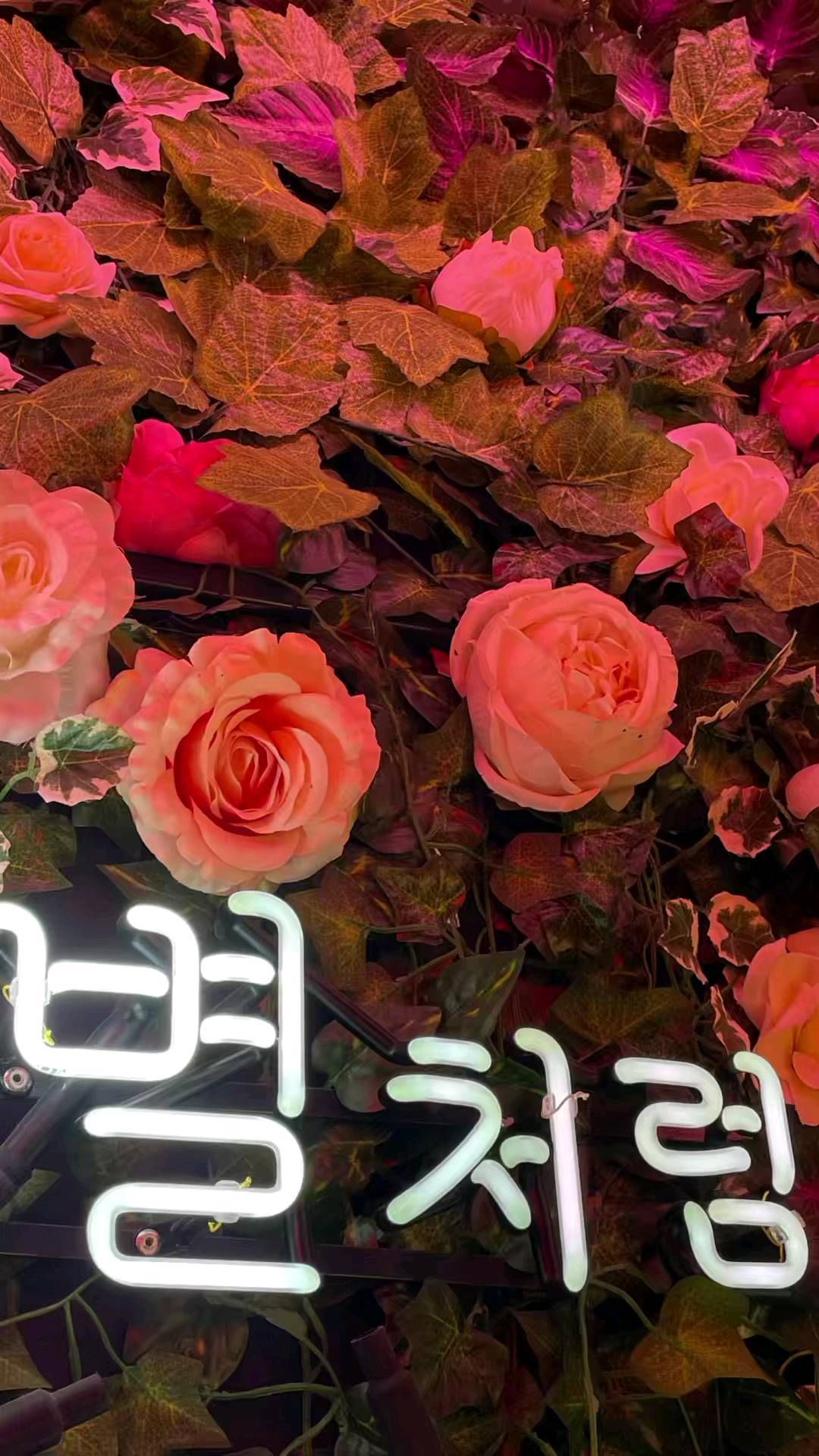#협찬 

29개의 테마룸이 한가득 제주시청에 위치한 노가리앤비어 테마파크 제주시청점은 다른 곳과는 확연히 다른 술집입니다.

 안주류 주류 다양하고 맛있는 하이볼은 3+1 인데 부담없이 먹을 수 있어 자주찾게 되는 술집이에요. 

레트로감성이 있는 술집이라 그런지 젊은이들한테 인기가 많은 곳 이에요. 

단체회식하기도 좋은 이 술집 저도 여기서 회식하고 싶은 마음이드네요!

오픈룸이 아니라 단독룸이라 조용하고 방해받지 않아 제가 더 찾는 술집이기도 해요. 

저처럼 시끄러운 곳 싫어하신다면 무조건 방문해야할 곳! 특히 안주중에서는 무뼈닭발이 너무 맛있어요.. 꼭 드셔보세요:)

📍제주시 신성로10길 1 1층
📍매일 18시 ~ 익일 2시

@jeju_themapark

#제주시청술집 #제주술집 #제주이색술집 #노가리앤비어테마파크 #제주시청맛집 #제주시청핫플 #구제주술집 #구제주맛집 #제주시술집추천