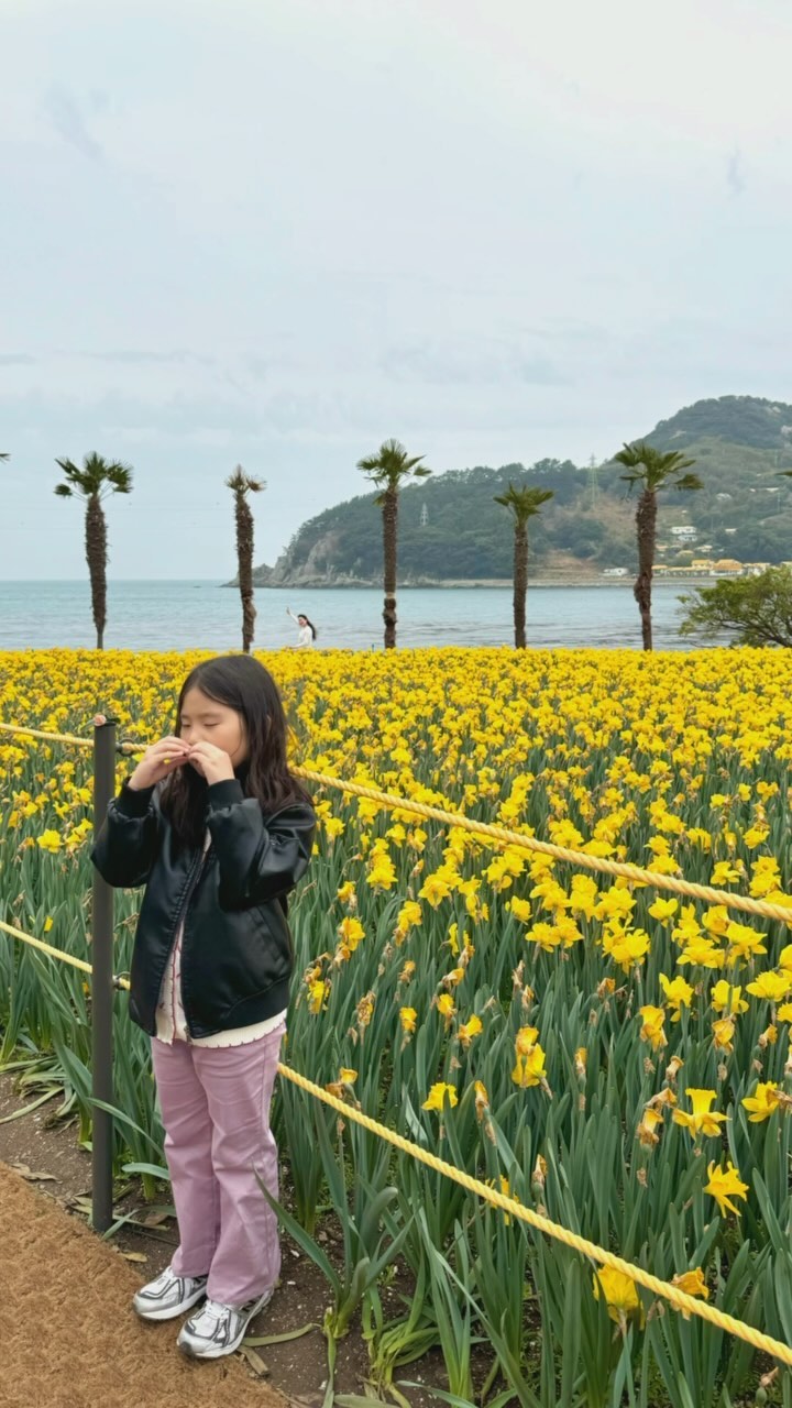,
너~~무 예뻤던 수선화 🌼🌼🌼 정말 그림같았던 곳 ,, 
거제에 간다면 꼭 가보세요!!!!😇 적 극 추 천 !!!! 🤭

#거제 #거제도여행 #거제도가볼만한곳 #거제도핫플레이스 #거제도수선화 #수선화 #수선화축제 #거제핫플 #거제도여행코스
,

#육아소통 #육아일상 #육아 #황금돼지띠맘 #일상 #인스타베이비 #젊줌마 #딸맘 #럽스타그램 #육아공유 #셀카 #셀피 #셀스타그램 #선팔 #맞팔 #육아일기 #selfie #좋아요반사 #selca #selstagram #좋아요 #좋아요반사