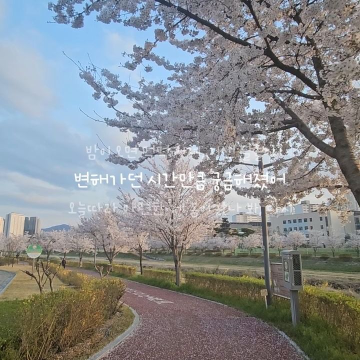 #김천벚꽃 #벚꽃 
김천의 #벚꽃명소 는
#김천연화지 #연화지 뿐이 아닌데
요즘 왜케 연화지만 유명하져?

김천직지사길
추풍령휴게소 왕벚꽃
율곡천둘레길
오봉저수지
문화마을진입로

김천에는 벚꽃스팟이 많다규!