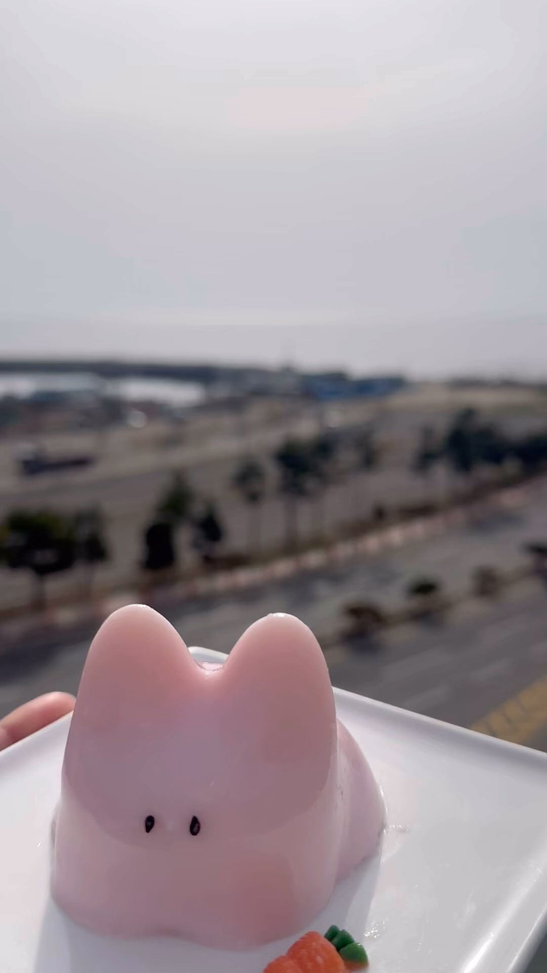 오늘 새로 나온 딸기우유맛 토순이에오!!!!
🍓🍓🍓🍓🍓🍓🍓🍓🍓🍓🍓
날씨가 넘넘 좋아서 루프탑에서 먹으면 더 맛..있..🫨

#속초카페 #속초 #속초핫플 #속초중앙시장 #속초여행 #토순이 #토끼푸딩