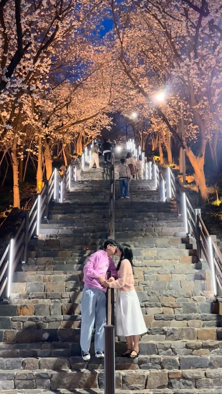 대구 침산공원 벚꽃 개화상황🌸

대구 벚꽃명소중 하나인 침산공원!
그런데! 이곳은 일몰 명소라는거 알고 계셨나요~?
우연히 일몰때 방문했는데 너무 예쁜거 있죠!??
낮에도 너무 예쁘지만 일몰도 추천드려요💟

이 계단은 침산공원 주차장에 주차하시고 
계단으로 바로 올라가시면 만나볼 수 있답니다!

3월 30일 기준 70% 개화했던 침산공원
이번주말에 만개할거 같으니 꼭 다녀오시길 바라요🌸

(📸 24.03.30 6시)
📍 대구 침산공원
🅿️ 주차장 무료

#대구벚꽃명소 #대구벚꽃 #대구 #대구벚꽃길 #벚꽃명소 #대구침산공원
