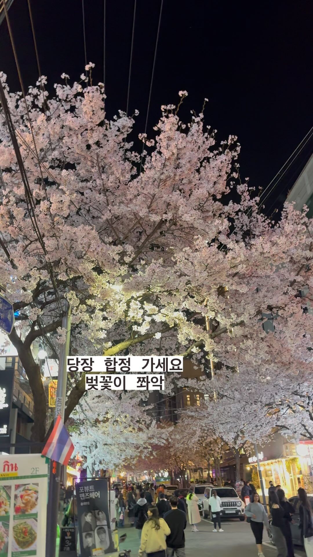 합정 벗꽃길 진짜 이뻐요 먹자골목이라고해야하나?
오랜만 가봤는데 역시 사람들 패션이 넘 다양해서 넘 좋더라구여~벗꽃보러 멀리 갈 필요있나요~ 
Go see the cherry blossoms right away, Hapjeong Station.!

 #봄 #벗꽃 #벗꽃구경 #벗꽃축제 #홍대 #합정