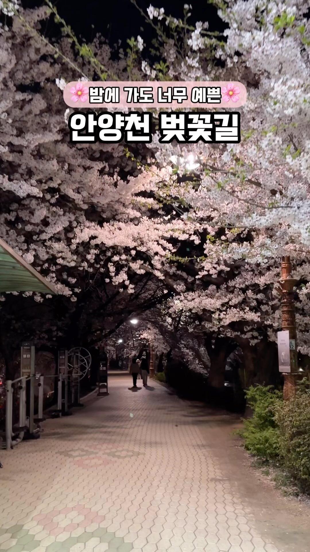 밤에 가면 사람도 없어여🌸

#안양천벚꽃길 #안양천 #안양천벚꽃 #안양천벚꽃길🌸