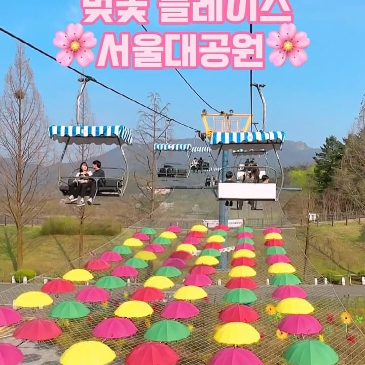⠀
안녕 봄, 🌸
⠀
⠀
⠀
⠀
#서울대공원 #서울랜드 #경마공원 #과천서울대공원 #벚꽃축제 #벚꽃구경 #벚꽃명소 #봄나들이 #인생샷 #셀카고자 #셀기꾼 #사진찍기좋은곳 #서울여행제보 #일상기록 #사진보정