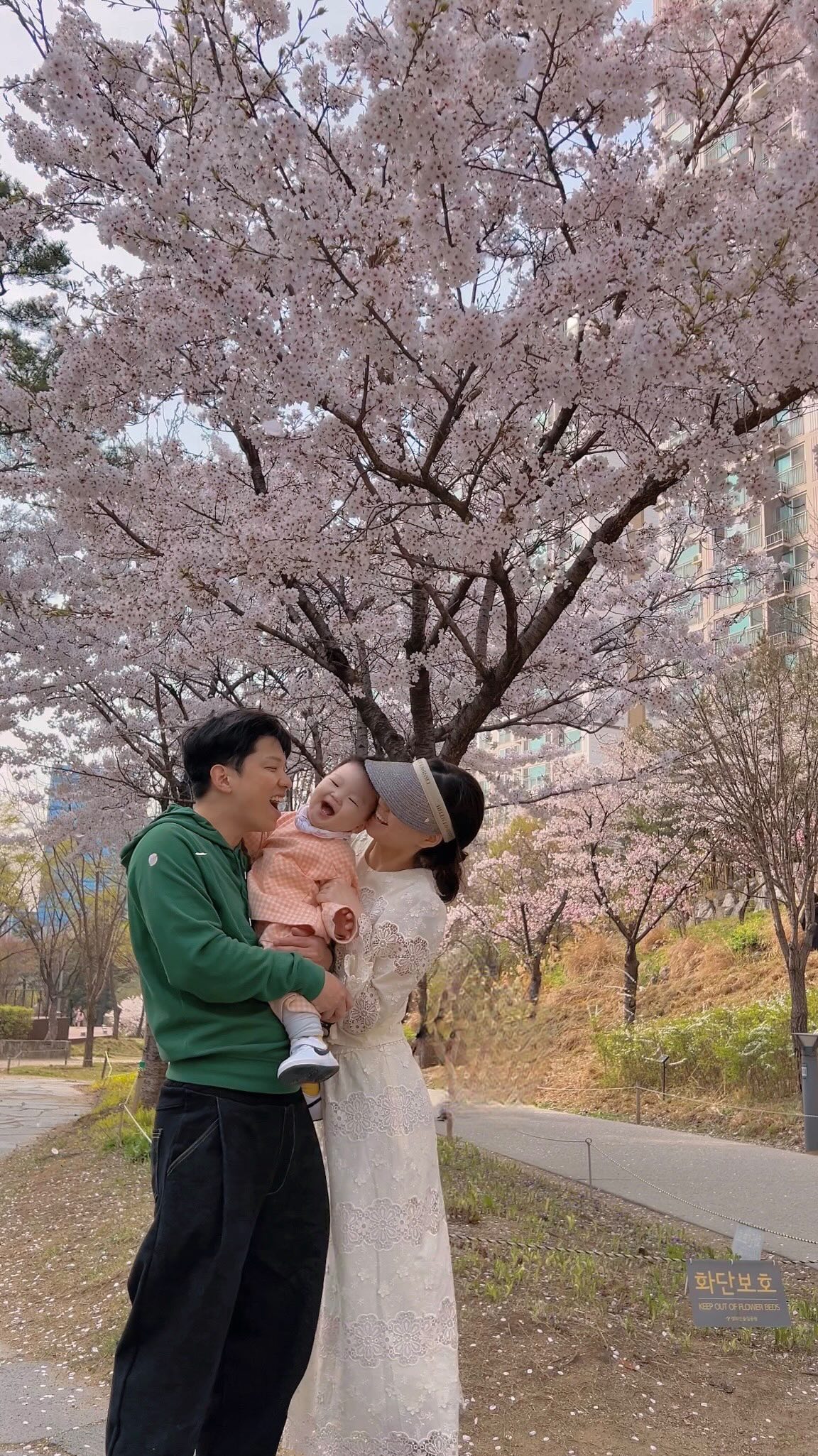 망원동에서 한번 효창동에서 두번🌸
셋이 함께하면 어떤길이든 다조아
한강이 멀어져도 이사온 이유중 하나가 경의선숲길💚
꽃비까지 내리니 너무너무 예뻤던 하루
역시 둘보단 셋! 넷은 아니고^__^

#13개월아기#꽃놀이#경의선숲길#벚꽃 
#피부과갔다온내얼굴은흐린눈