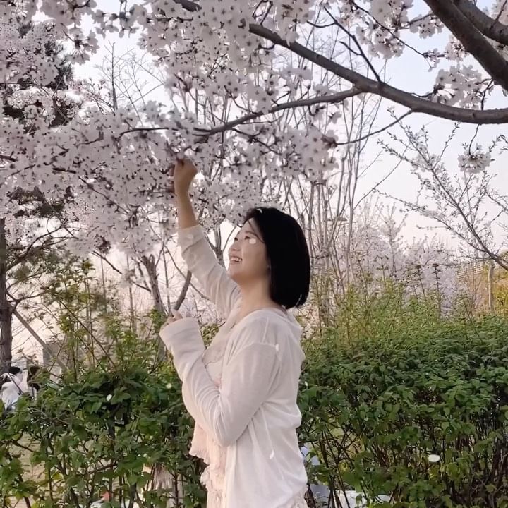 #벚꽃🌸 벚꽃 잔뜩 봤댜