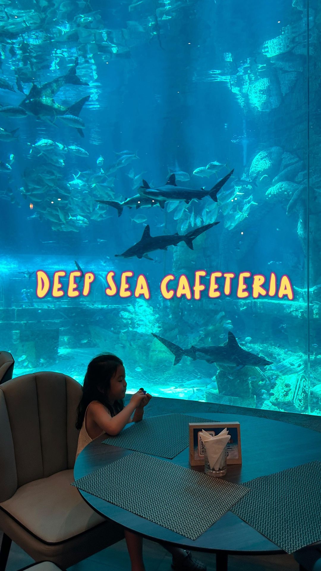 #vinwondersphuquoc 
#deepseacafeteria 
#푸꾸옥아쿠아리움 
#푸꾸옥

사파리투어 후
빈원더스 아쿠아리움에서
상어랑 물고기보며 밥먹기🐟

#미션클리어