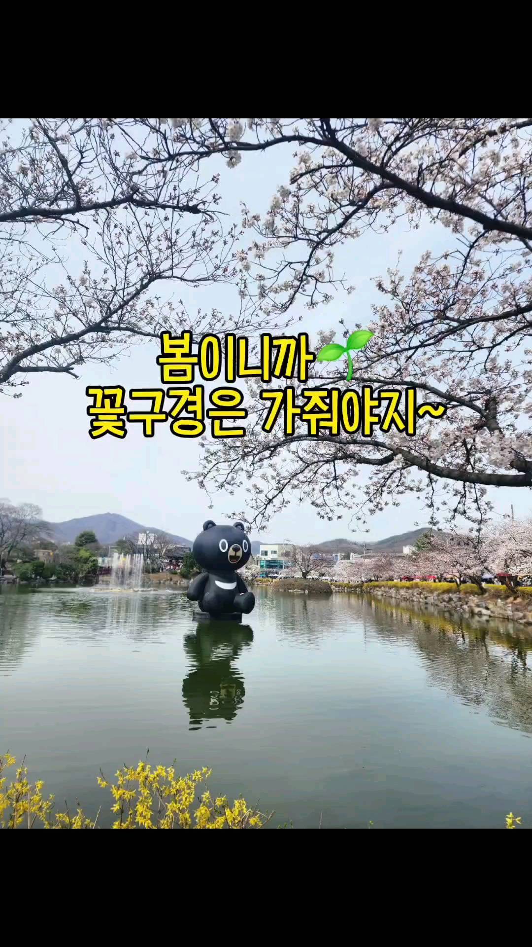 #봄이니까
#꽃구경가자🌸 

#벚꽃명소 라 불리는
#김천연화지 다녀왔다

100% 만개는 아니였지만
많이 피었더라~예쁘더라😊

오늘쯤이면 더 활짝 피었을듯!
야간에보면 더 이쁠것같은 곳!

#바쁠수록쉬어가기 #힐링🌿
#여행은언제나옳다 #행복💕

#주말나들이🚗 #김천여행
#벚꽃구경 #벚꽃스타그램
#김천핫플 #연화지 #직지사
#아이들과여행 #가족나들이
#소소한행복❣️ #일상기록✏