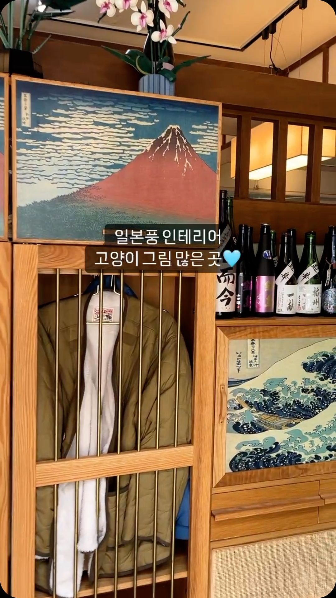 콘텐츠