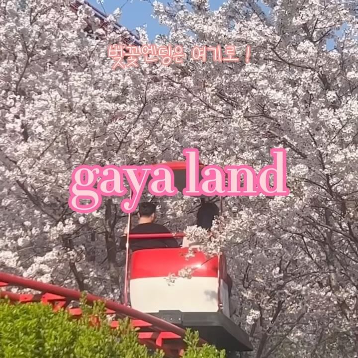 @gayaland_angelpark.official
