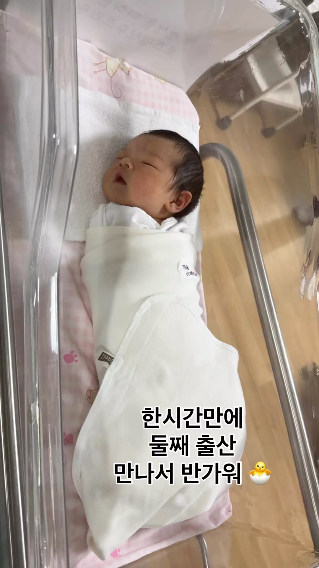 배가 아파도 병원가면 퇴짜 맞을까봐 참고 또 참으며
저녁도 먹고 꽃구경 산책하다가 걷는게 힘들어서 집으로 출발.
집와서 겨우 씻고 병원 갔더니 
이미 밑에 full로 열렸다고 
급하게 분만준비 해주시더니 첫째도 늦어서 무통없이 했기에
둘째는 무통 기대했는데 너무 늦어 무통 없이 진행🥲
셋째도 낳으실거냐는 질문에 절대 없다고 말씀드렸는데 
셋째때는 꼭 병원 일찍 오라는 간호사님…
원하는 원장님이 밤에 계셔서 원장님과 
친절한? 간호사님 덕분에 건강하게 출산 했어요.
아직도 출산한게 믿기지 않고 기억이 또렷하고 
다음날 바로 움직일 수 있다는게 신기해요.
얼마나 걸릴까 걱정했는데 이번에는 정말 빠르게 출산했어요.
다들 축하해 주시고 걱정해 주신덕분에 건강하게 순산했어요. 
모두들 감사드립니다 👍👍😊 타타 안녕🫶🏻
.
.
#순산했어요 #출산후기 #출산 #둘째맘 #둘째아들 #둘째는사랑 #대구맘 #출산임박 #신생아 #분만후기