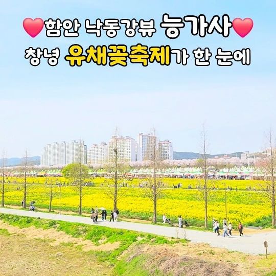 #함안여행

남지철교를 사이로, 함안과 창녕!

33만평의 유채꽃밭을 한눈에 볼 수 있는 능가사💛
절벽위에 있어 더욱 더 매력적인 절이야!

📌능가사
경남 함안군 칠서면 계내1길 107

@changnyeonggun
#남지유채in창녕 #창녕낙동강유채축제 #창녕여행 #유채꽃 #유채꽃축제 #벚꽃축제 #창녕가볼만한곳 #낙동강유채 #튤립축제 #튤립 #축제 #좋아요 #여행인플루언서