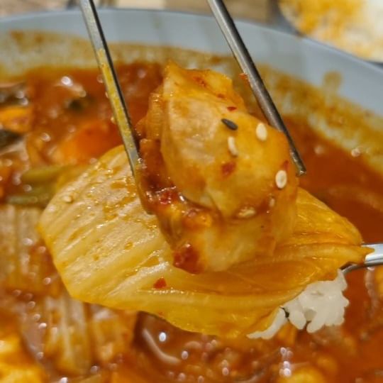 #협찬 '도리도리 수성점' 닭에 진심인 대구 로컬 닭도리탕
*솔직한 후기로 작성되었습니다.

찜닭, 닭도리탕 집이 점차 많이 생기고 있습니다. 다만, 지역 맛집보다는 프렌차이즈가 많아지고 있는 것 같습니다. 그리고 자극적이긴 맛도 더 많아 지는 것 같습니다.

'도리도리 수성점'은 닭에 진심인 곳입니다. 다양한 찜닭메뉴, 다양한 닭도리탕 메뉴 등을 판매 합니다. 대구 로컬 맛집으로 많은 분들이 좋아하는 곳입니다. 전반적으로 깔끔한 인테리어에 술과 잘 맞는 메뉴들이 즐비 합니다.

묵은지 찜닭이 반마리임에도 양이 많았고, 찬도 잘나왔습니다. 묵은지가 미리 썰려나와서 더 좋았습니다. 먹기 편했고, 사리들도 적당히 모두 잘 익었습니다. 밥과 먹기 딱 좋아서, 밥과 함께 맛있게 먹었습니다.

너무 자극적이지 않아서 좋았고, 적당히 매콤해서 술안주로도 좋을 것 같습니다. 가족끼리, 연인끼리, 친구끼리 편하게 가서 식사 하실 곳으로 추천합니다.

가게정보
가게명 : 도리도리 수성점
위치 : 대구 수성구 무학로21길 9 1층 도리도리 수성점

#대구닭도리탕맛집 #두산동맛집 #수성못치킨 #수성구닭도리탕 #수성구맛집 #수성구닭볶음탕 #대구찜닭맛집 #대구찜닭#수성못맛집 #수성못데이트 #수성못회식 #수성못맛집추천 #수성못술집 #수성못밥집 #수성못놀거리 #대구맛집 #대구맛집추천 #대구추천맛집 #대구찜닭추천 #대구찜닭추천맛집 #대구닭볶음탕 #대구닭볶음탕맛집 #낭스 #낭스푼_맛집