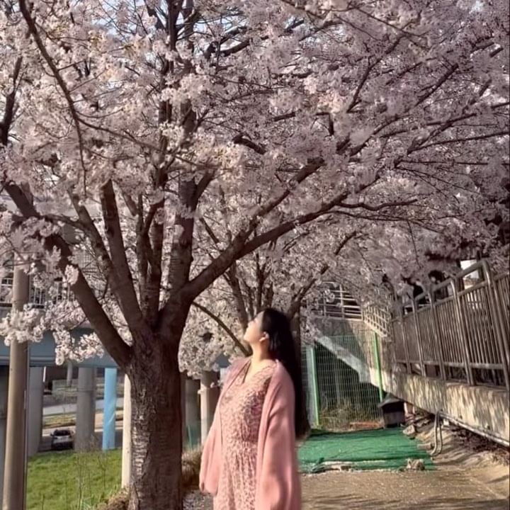 🌸 🌸 🌸 
벚꽃 타이밍 놓치지 말자 🥹 엔딩은 슬프대 🎵
.
.
.
Feat : 사실 꽃 피우기 전 😂😂😂 앙상나무

@vanillashu.co.kr #봄로퍼 #로퍼코디
#벚꽃구경 #팝콘구경 #벚꽃엔딩 #봄이야 🌸
#일상소통 #팝콘나무 #벚꽃영상 #봄나들이