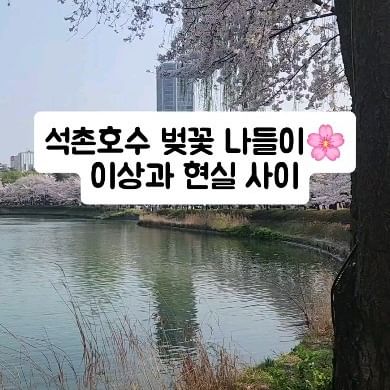 석촌호수 벚꽃 나들이🌸
이상과 현실의 괴리감...😂😂

2024.04.07. 일요일 영상입니다.
이 정도로 많을지 몰랐는데 사람 엄청 많네요😭😭

좋아요❤️ 한 번씩 눌러주세요!

❗️좋아요, 댓글, 팔로우 제한 2주째입니다...
❗️제한때문에 답방, 맞팔 못하더라도 조금만 기다려주시면 감사하겠습니다😭

#여행스타그램 #여행맞팔 #서울벚꽃 #석촌호수벚꽃 #2024석촌호수벚꽃