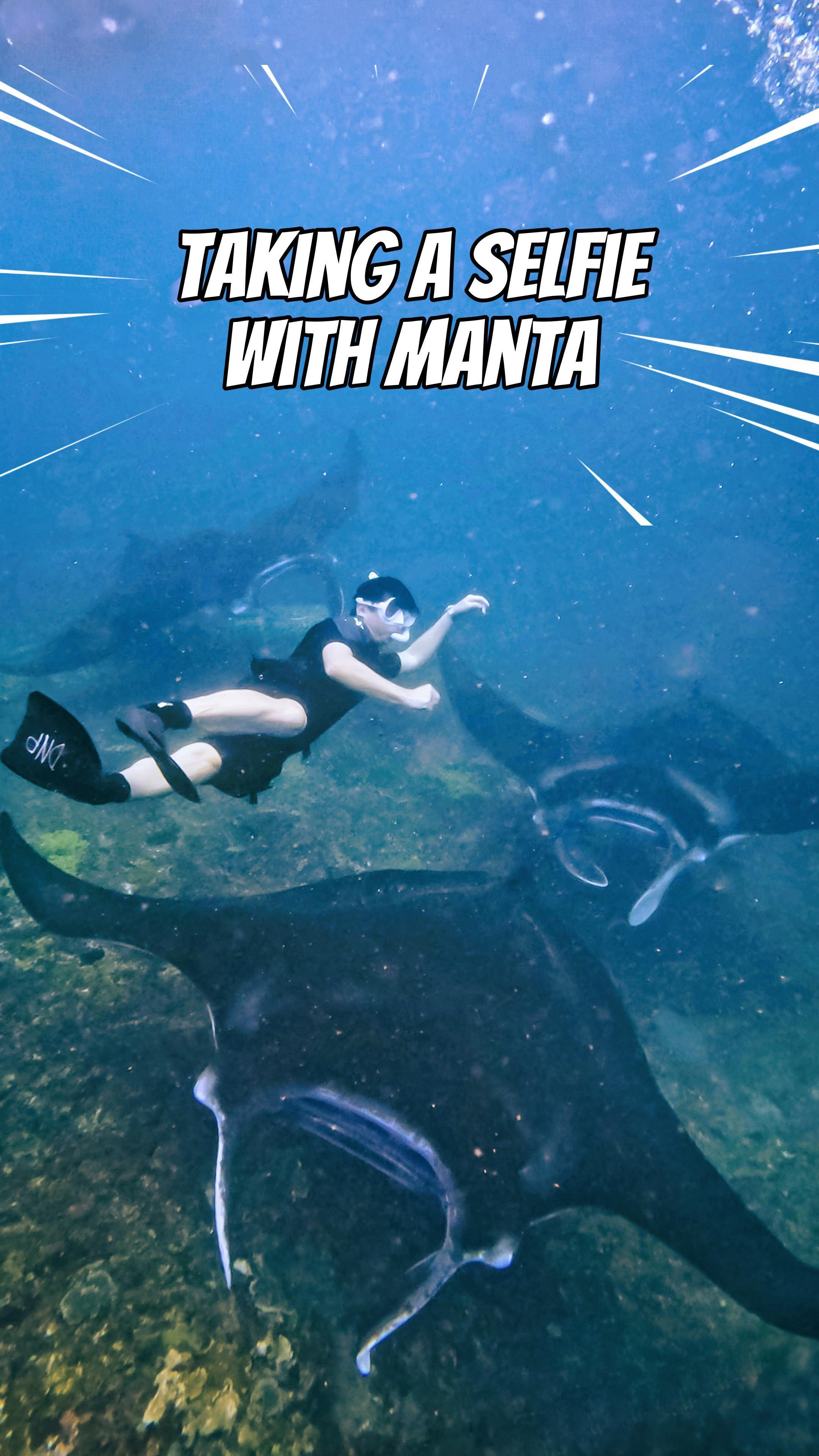 만타와 셀카찍는 법

발리 여행에서 대왕쥐가오리 만타를 만났어요
#manta 는 스페인어로 넓고 평평한 담요라는
뜻을 갖고 있는데 만타의 우아한 몸짓을 본 순간
왜 그런 이름이 붙었는지 바로 알겠더라고요

발리 누사페니다는 다이빙과 스노쿨링으로 유명한데요
특히 #만타 서식지로 잘 알려져 있어요
그곳에서 너무나 아름답고 귀엽기까지 한 만타와
같이 수영한 건 아마 평생 잊지 못할 것 같아요
발리 여행을 간다면 만타를 꼭 만나 보고 오세요

📍Nusa Penida Island
가는 법 : 사누르 항구에서 페리 로이동 30분
스노쿨링 투어 가격 : 300~500루피아
투어는 오전에 있으니 하루 전에는 예약해야 해요
스노쿨링 다이버샵은 여러 곳에 있는데요
저는 조금 비싼 500루피아에 프라이빗 투어를 했어요
제가 이용한 다이빙샵 정보가 궁금하면 댓글 남겨주세요

#프리다이빙 #프리다이버 #고프로 #고프로라이프