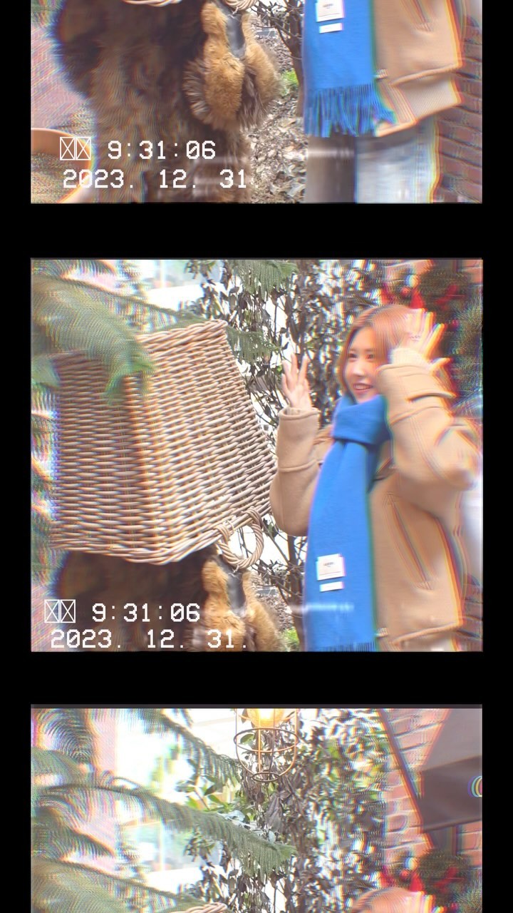 금쪽이의 행복했던 2023 🫨🤍