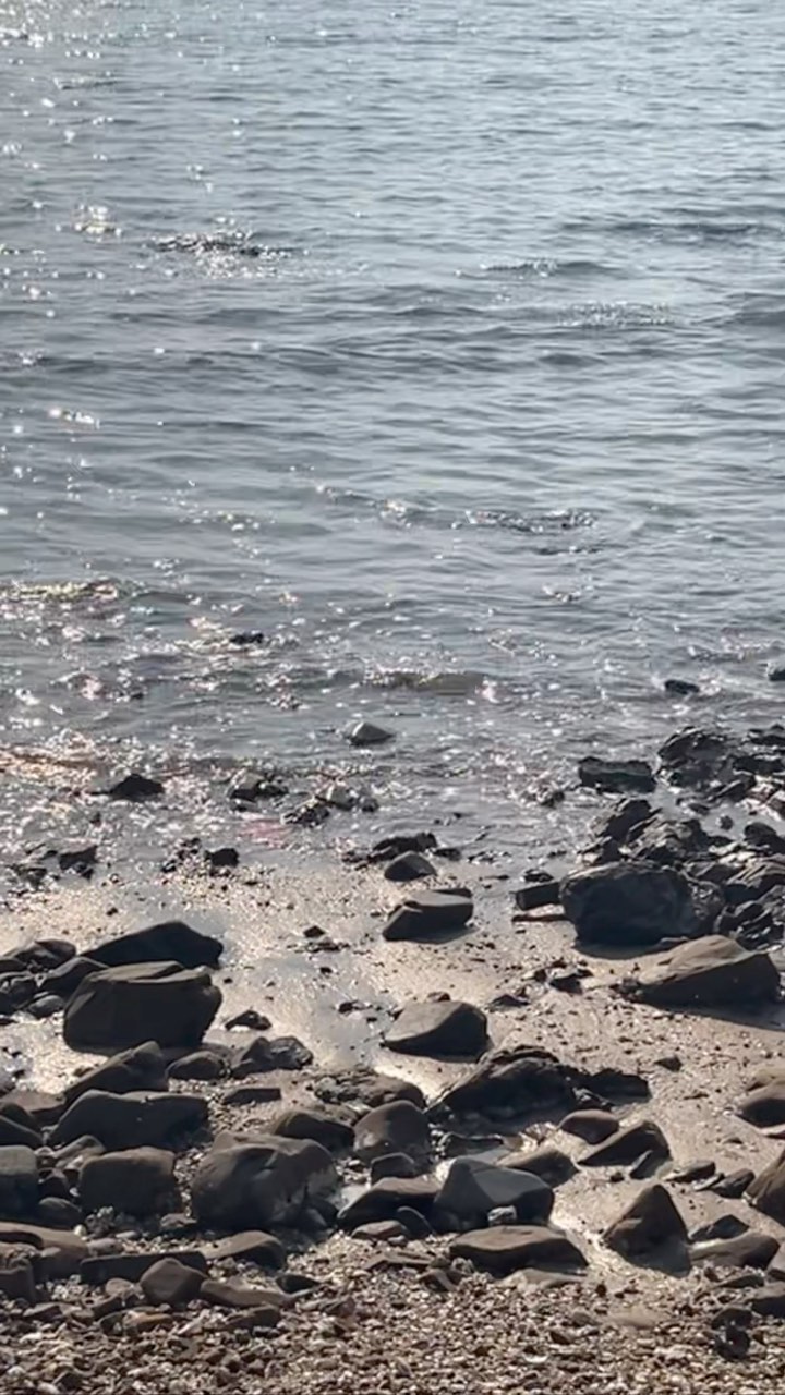할머니댁 앞 바다에서 🌊