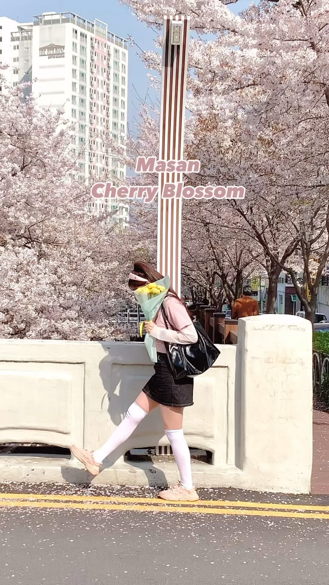 벚꽃비가 내려와🌸

마산이면 무조건 가봐야하는
문화동 연애다리 월일교 🌸

연애다리로 불리는 이유 알겠쟈냐
벚나무길 거닐면 멜로눈빛 나옴 🤧

왜 이제야 내눈앞에 나타나!
잘 알려지지 않은 곳이라 여유롭게
벚꽃즐길수 있어 행복했어요.💕

📍월일교
창원시 마산합포구 청계동 16

#마산벚꽃 #마산벚꽃명소 #벚꽃길 #창원마산벚꽃명소 #마산여행 #벚꽃코디 #봄코디 #데이트룩