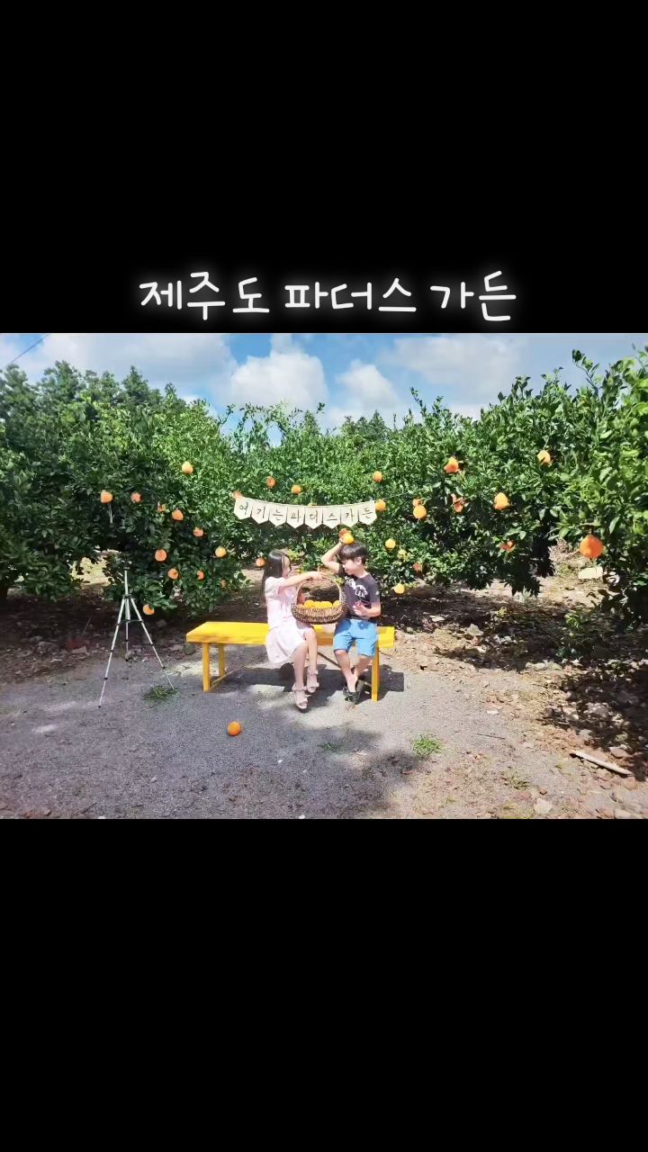 .
동영상에 글도 적고 이쁘게 만들고 싶었는데 뜻대로 안되넹~~~🤣🤣
그래도 배경이 좋아서 사진이 살렸다용~
가는곳마다 포토존인 이곳은 카메라 놓을새가 없었다. 핑크뮬리존도 이뻤고 열대 우림처럼 잘 꾸며진듯하다. 근데 정작 귤따고 딴 귤사진은 없다는게 반전이지만ㅋㅋㅋㅋㅋ
아들은 귤을 한개씩 안따고 뭉탱이로 따고 해치우는게 공부빼고는 에너지 쓰는건 일도 안하려고해서 갑~갑~하다ㅋㅋ 무척추 동물인가? 왜자꾸 길에 쓰러져 앉는거지?ㅋㅋ 그리고 우리 딸은 왜 자꾸 집에 안들어가려고하지? 극E와 극I사이에서 분노질각ㅋㅋㅋㅋㅋ 어느장단에 춤을 춰??ㅋㅋㅋㅋㄱㅋ
.
.
.
.
.
.
.
#파더스가든 #너무이뻤던곳 #제주핫플레이스 #제주도코스추천 #귤따기체험 #모기팔찌준비하세요