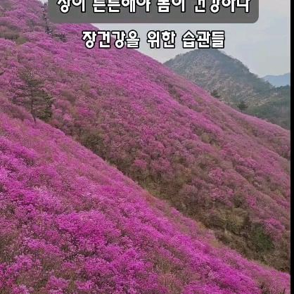 #광고

장이 건강해야 우리 몸이 튼튼하다고 하죠
그만큼 우리 장건강을 신경 써야하는데요
식이섬유 많은 식습관과 적당한 운동 충분한 
수분보충 스트레스 건강하게 풀기 수많은것들중
제일 중요하게 생각하는건 내 장을 위한 유.산.균

락토 500은 10종 프로바이오틱스 100억CFU
이제품은 유해균 억제균 안정성 확인된 특허 유산균
특히 상온에서도 24개월간 100억균 이상이 생존하대요
매일 하루에 1한알씩 먹었더니 내아랫배가 가벼워져서
하루라도 빠짐없이 꼬박꼬박 챙겨먹어요 🤍

 #락토500#케이세라퓨틱스#케이세라퓨틱스유산균
#쾌변유산균#올커버유산균#올커버락토500
#365일정확한락토500#정확한화장실#여행유산균