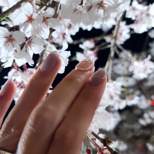 올해는 원없이 벚꽃 제대로 즐긴듯~~♡
내년에 또 만나
.
.
.
#벚꽃명소 #벚꽃시즌 #군항제 #안동벚꽃축제 #해운대벚꽃 #창원벚꽃 #봄시즌 #벚꽃축제